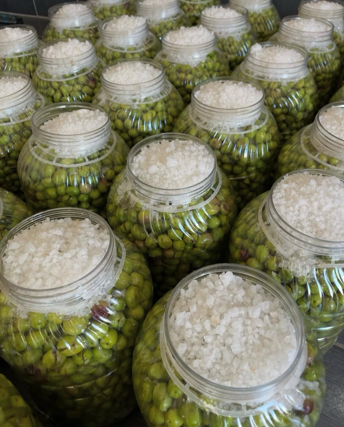 Ayvalık taş kırma yeşil zeytin