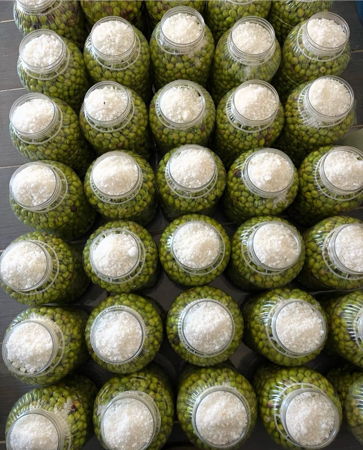 Premium Cold-Pressed Extra Virgin Olive Oil