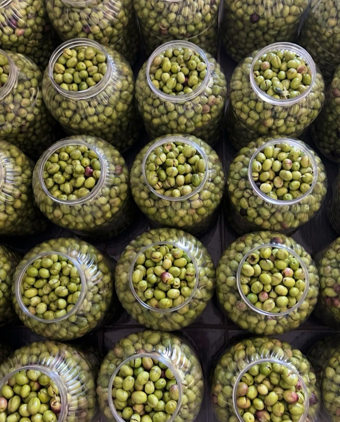 Premium Cold-Pressed Extra Virgin Olive Oil