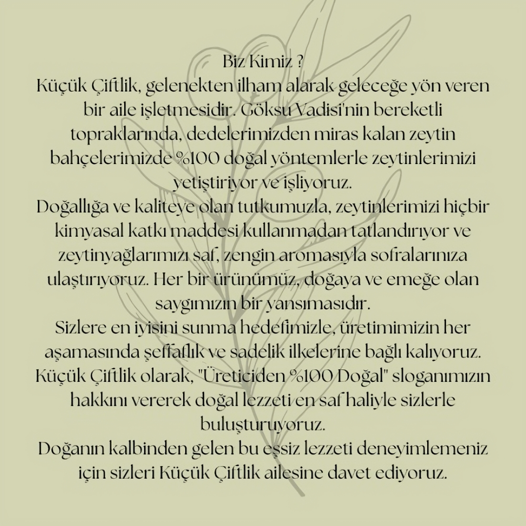 Küçük Çiftlik Xxl Yörenin  Zeytini ( 5 litre pet )
