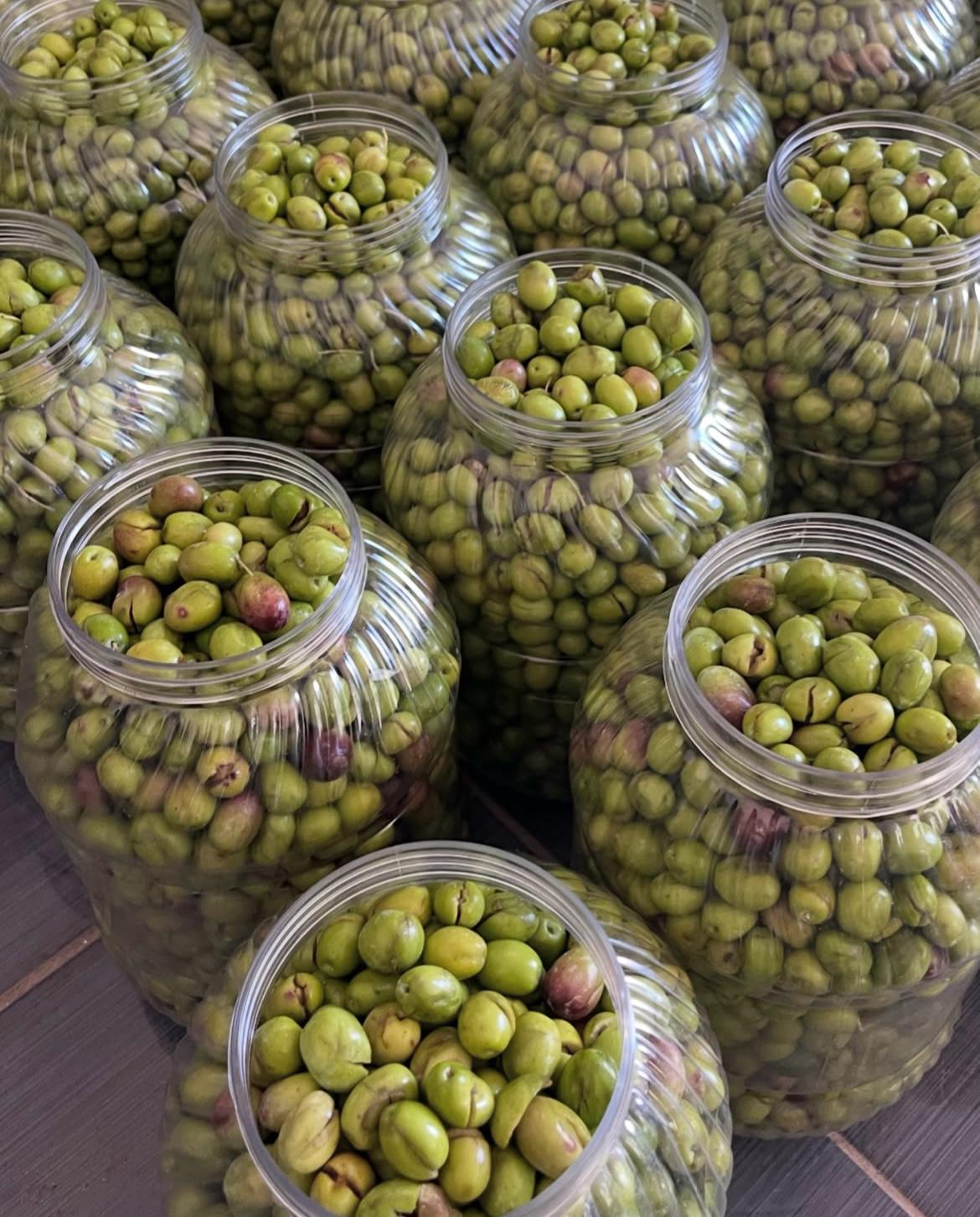 Premium Cold-Pressed Extra Virgin Olive Oil