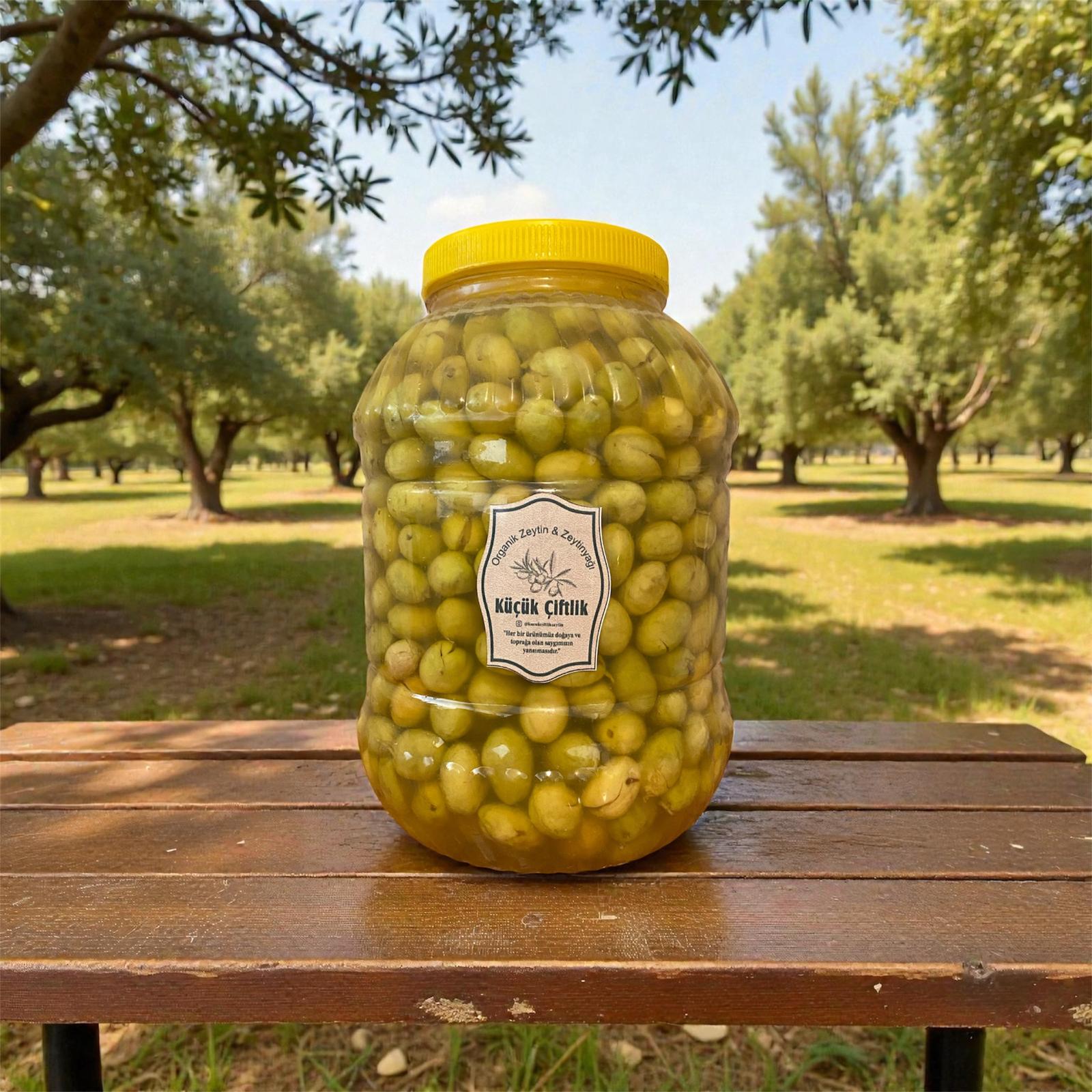 Ayvalık taş kırma yeşil zeytin