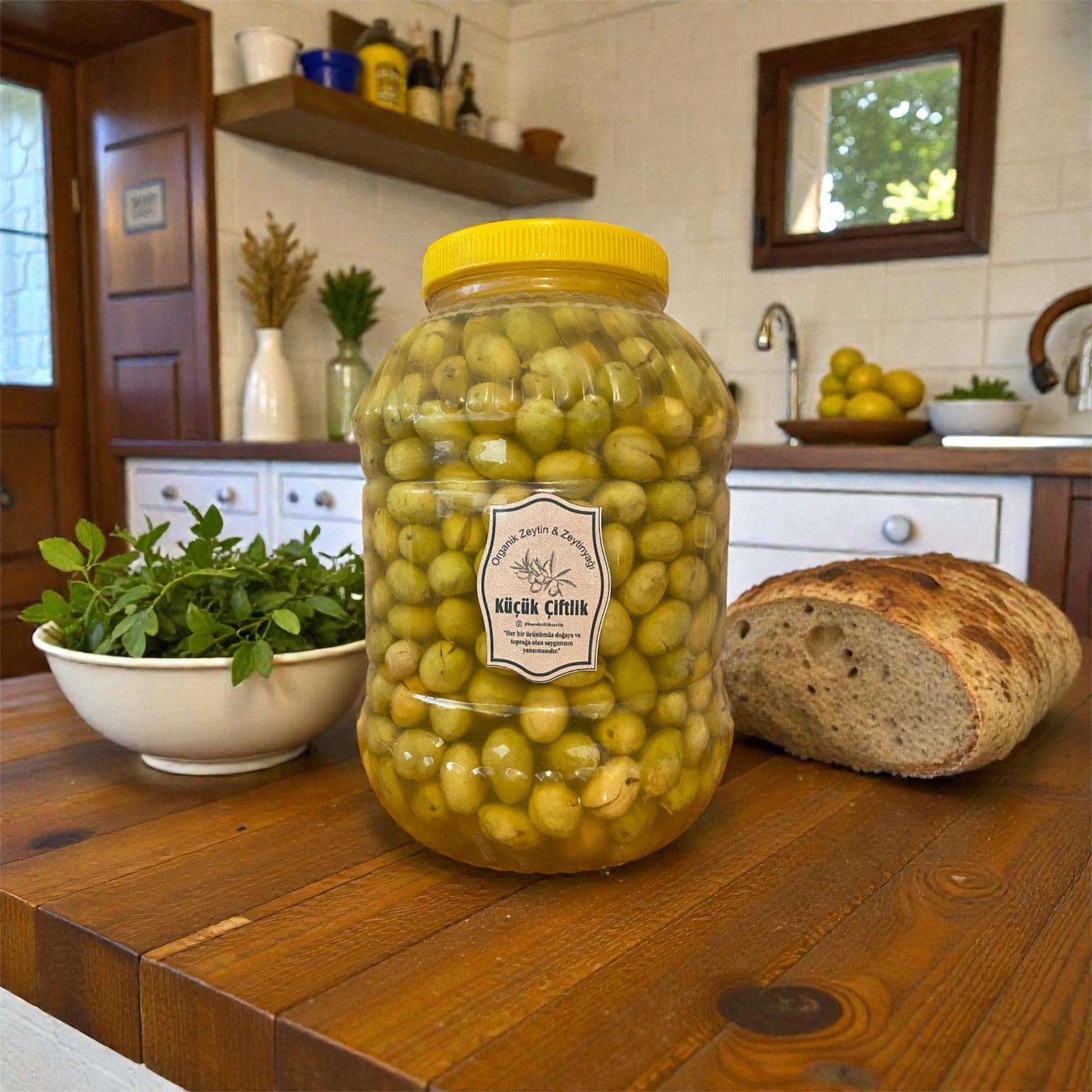 Ayvalık taş kırma yeşil zeytin