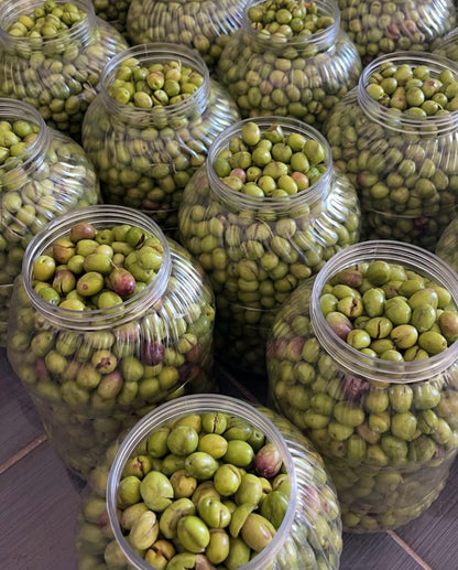 Ayvalık taş kırma yeşil zeytin