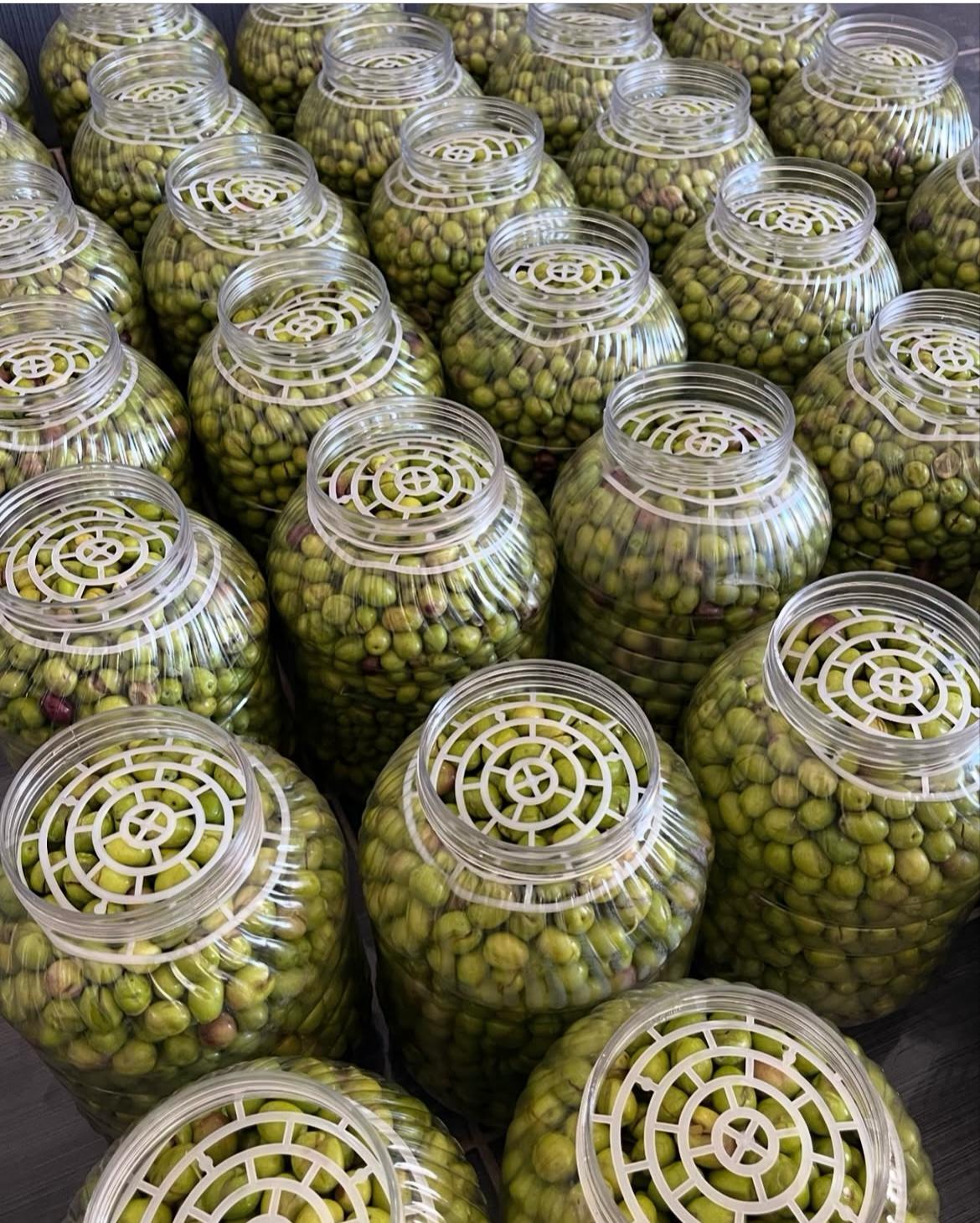 Ayvalık taş kırma yeşil zeytin